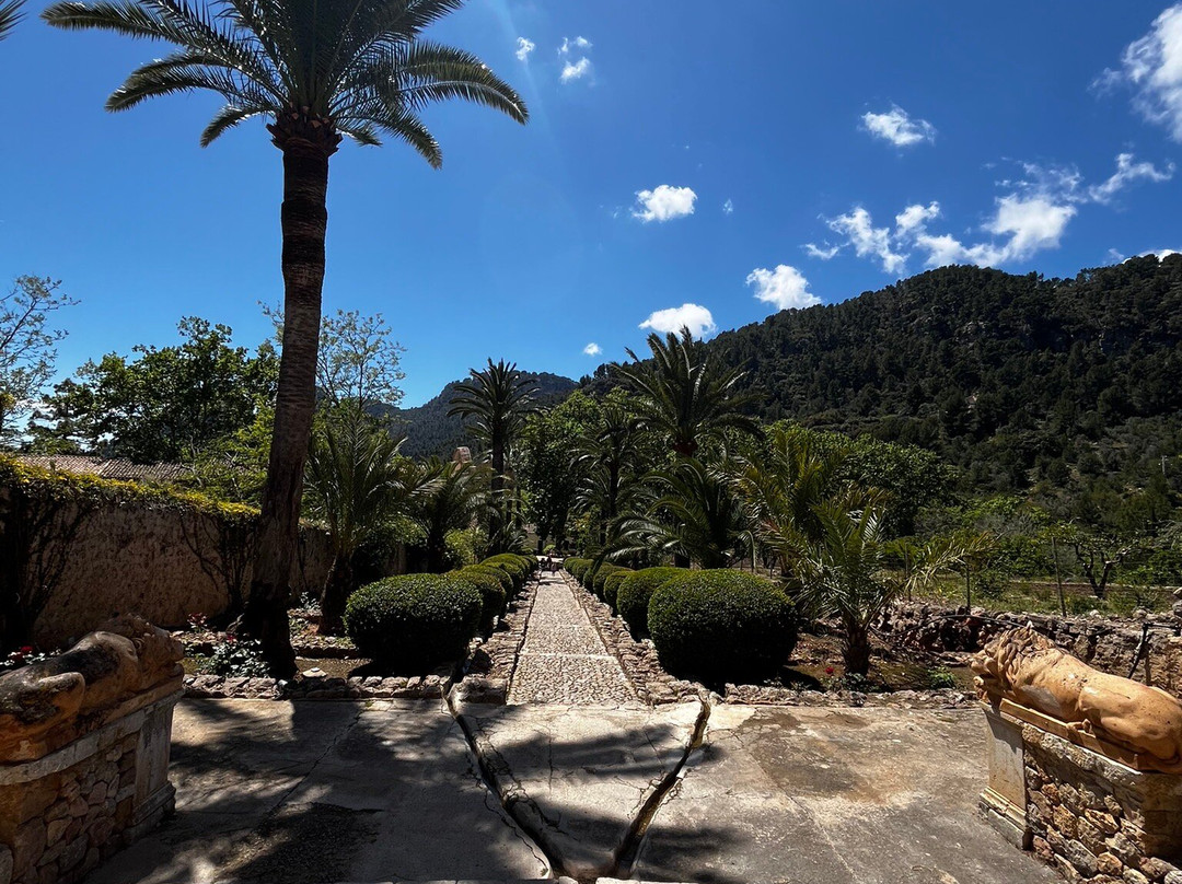 Jardín Botánico de Sóller-索耶尔必去景点