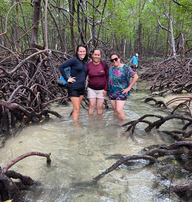 Raízes De Garapuá-Garapua必去景点