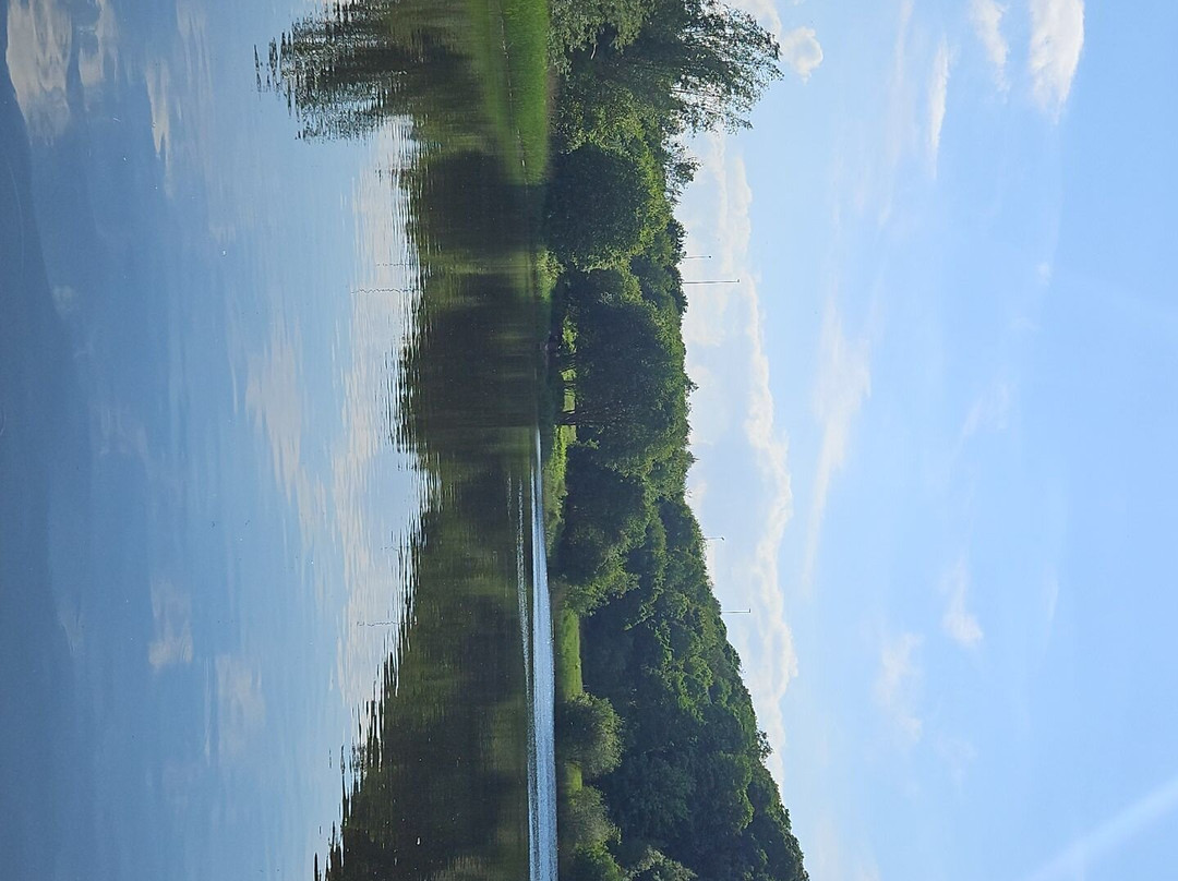 Brockholes Nature Reserve景点图片