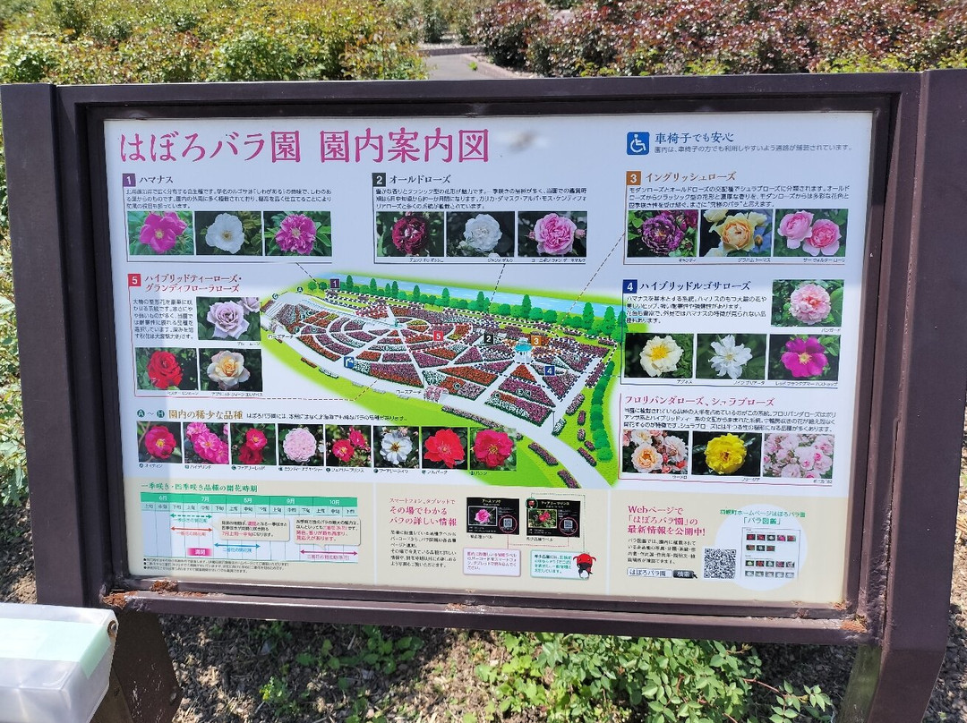 Haboro Rose Garden-羽幌町必去景点
