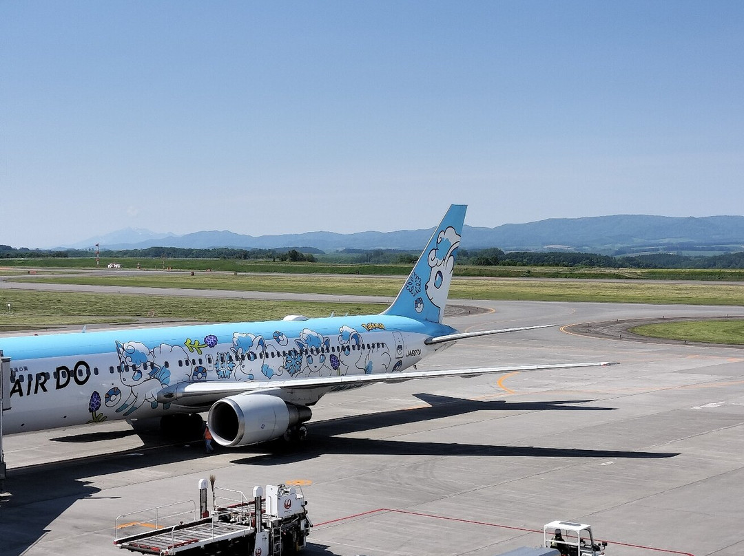 Asahikawa Airport Observation Deck-东神乐町必去景点