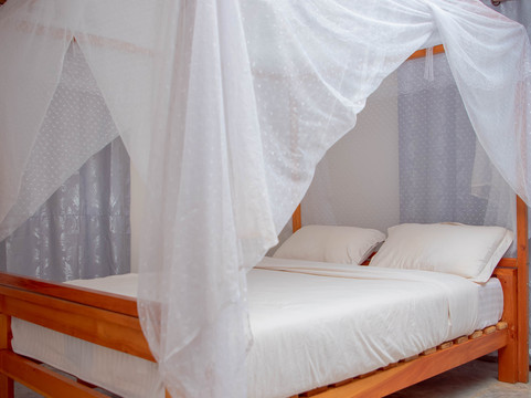 Afex Rivercamp主图