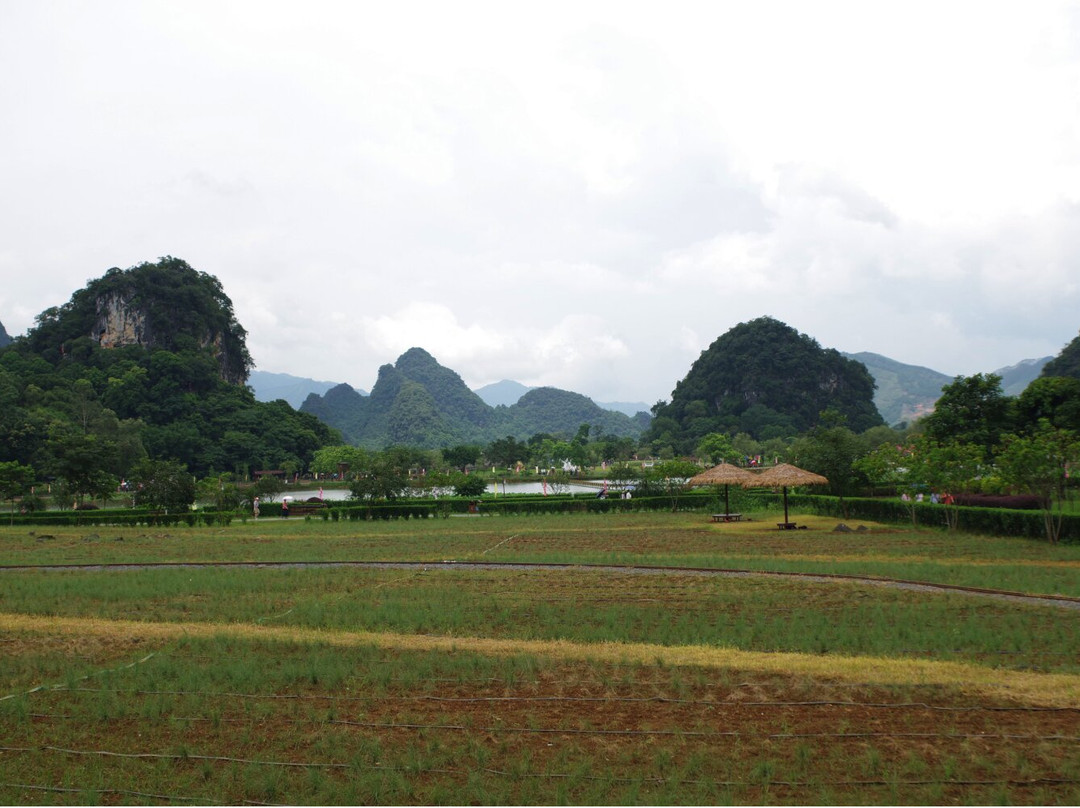 Fenglin Jiulong Town-英德市必去景点