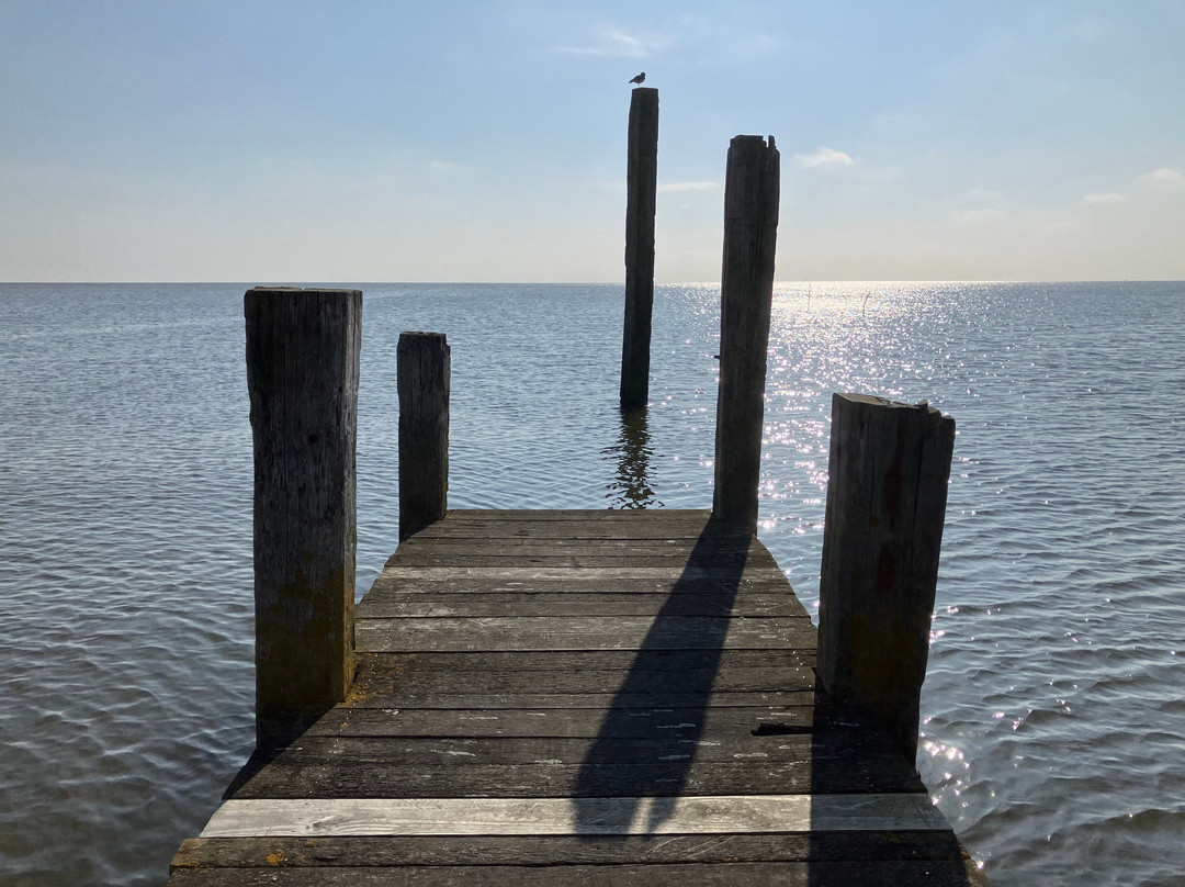 Hotel Het Anker Van Texel主图