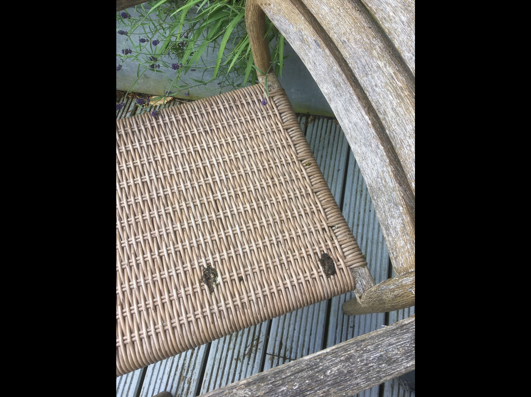 The Swan at Streatley主图