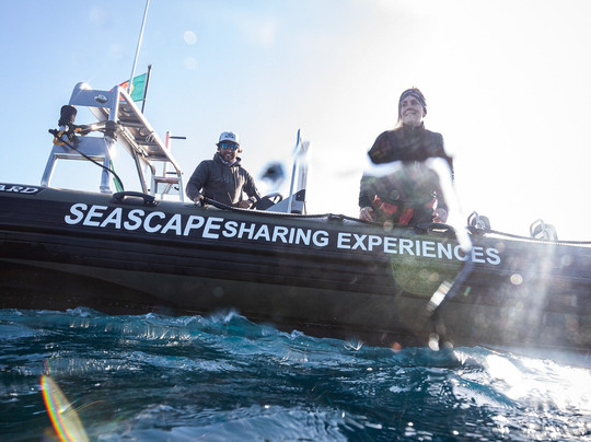 Seascape |Sharing Experiences