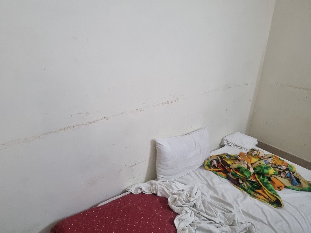 Hotel Batra Palace主图