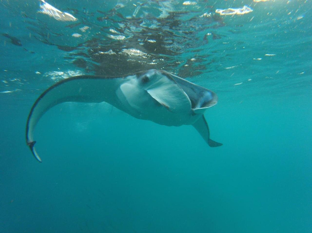 Penida Bali Vibes-Sanur Kaja必去景点