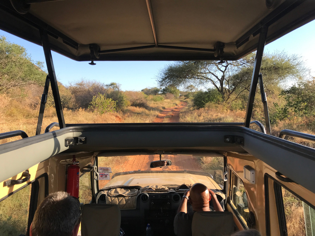 Tsavo National Park West景点图片
