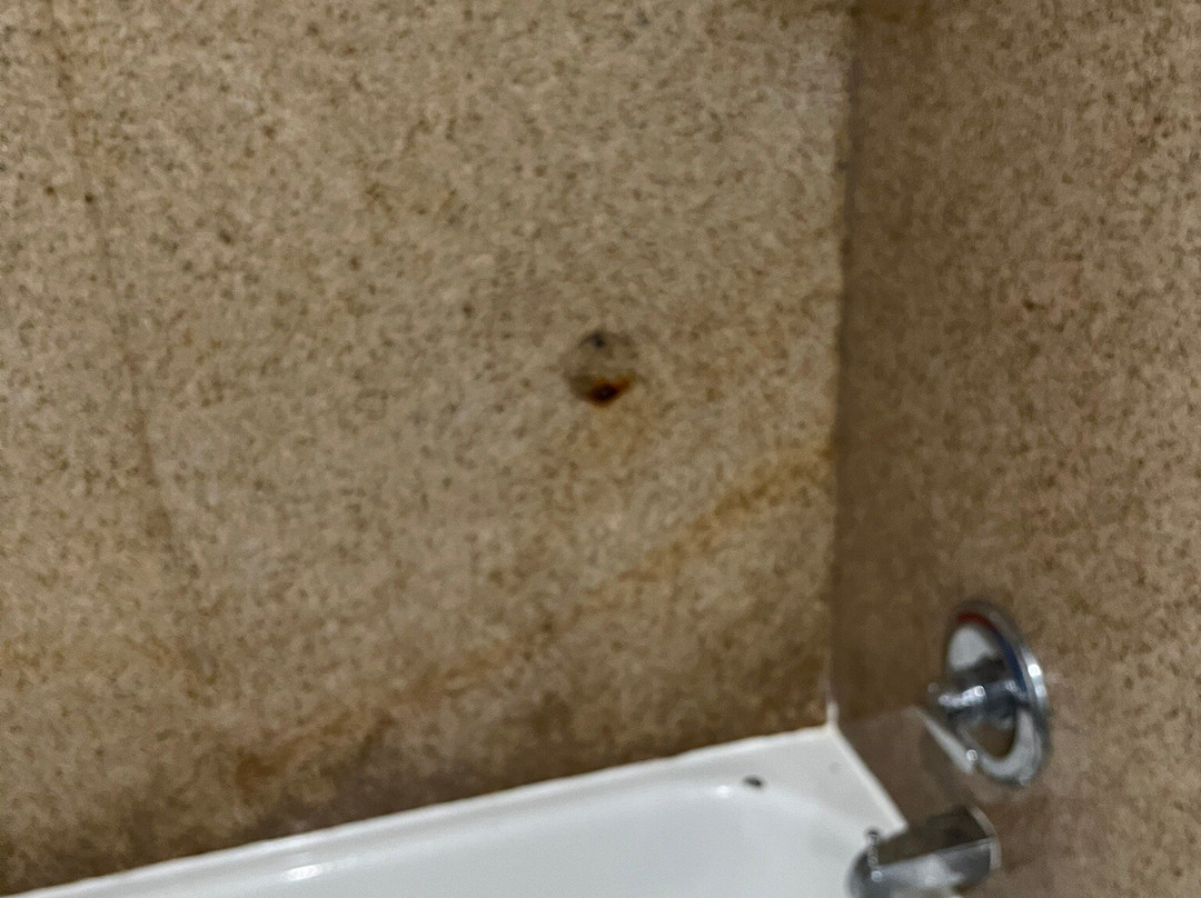 La Quinta Inn & Suites by Wyndham Decatur主图