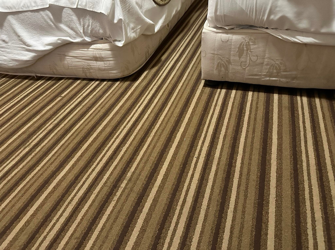 Art Hotel Galeria主图