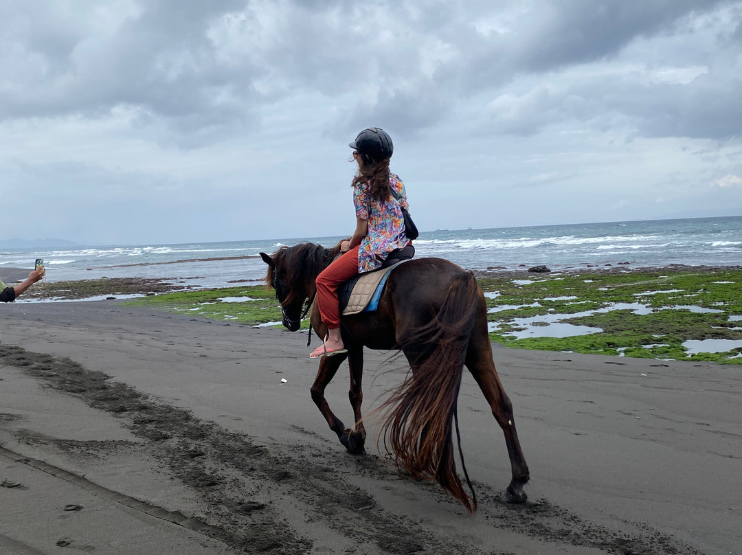 Bali Travelo - Day Tours-登巴萨必去景点