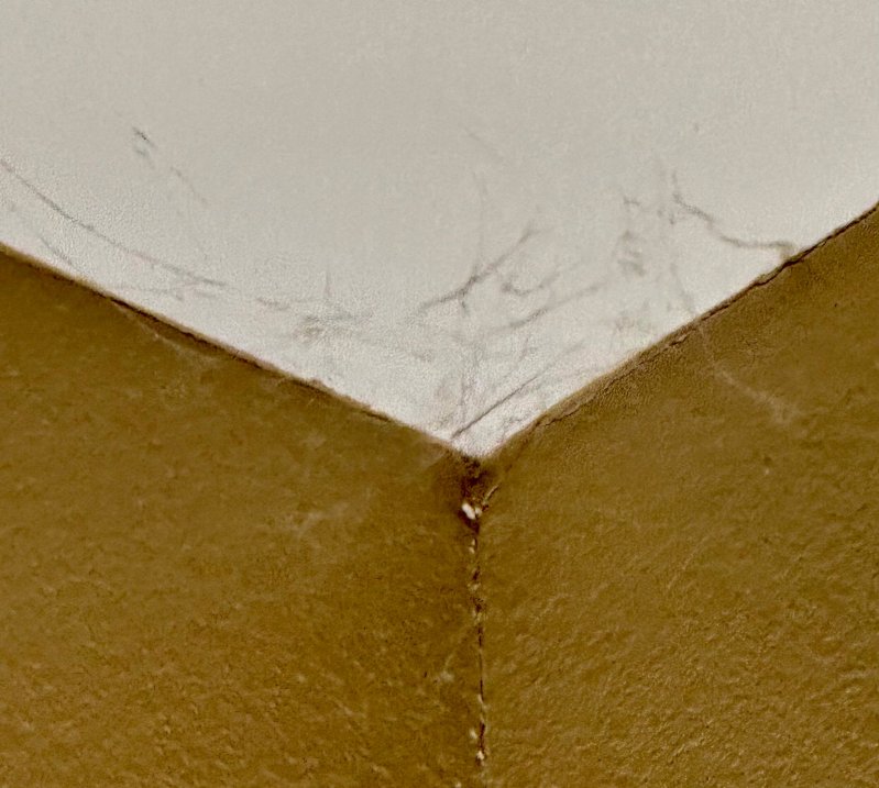 特克萨卡纳欢朋套房旅馆-客卧