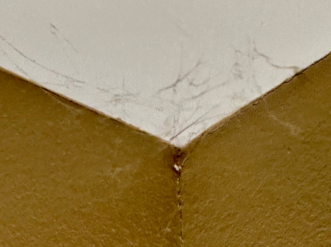 Hampton Inn & Suites Texarkana主图