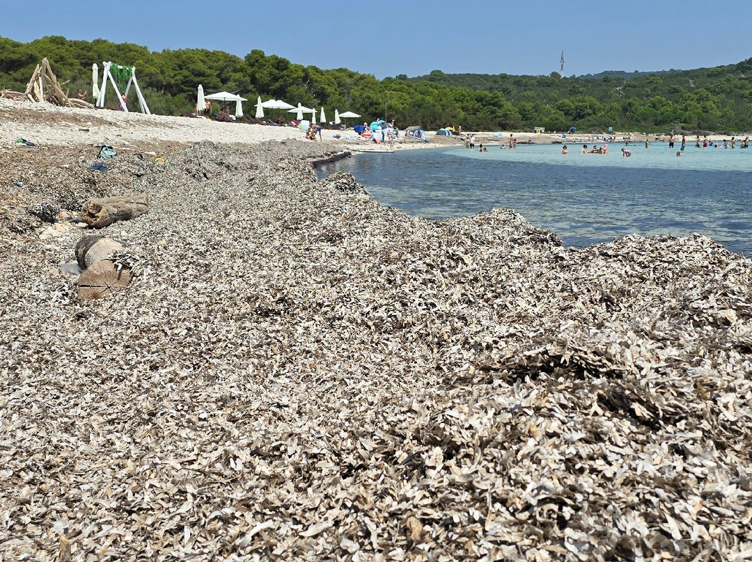 Sakarun Beach景点图片