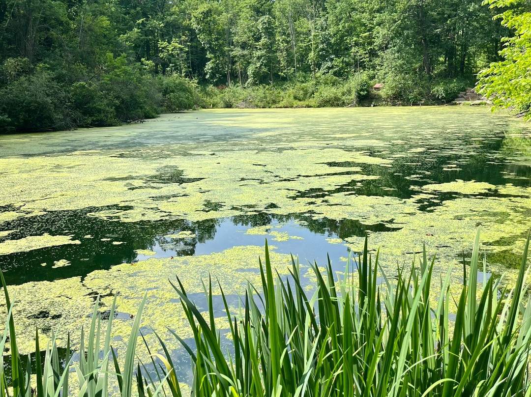 F.A. Seiberling Nature Realm-阿克伦必去景点