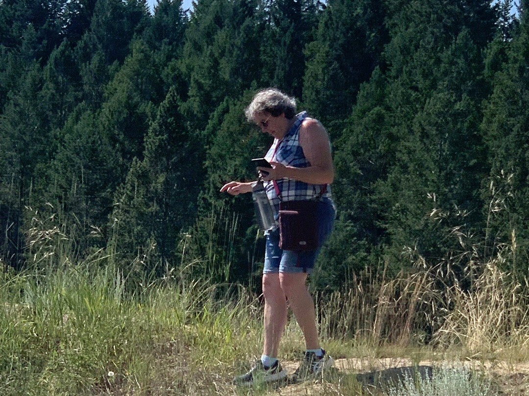 Radium Elk Park B & B主图