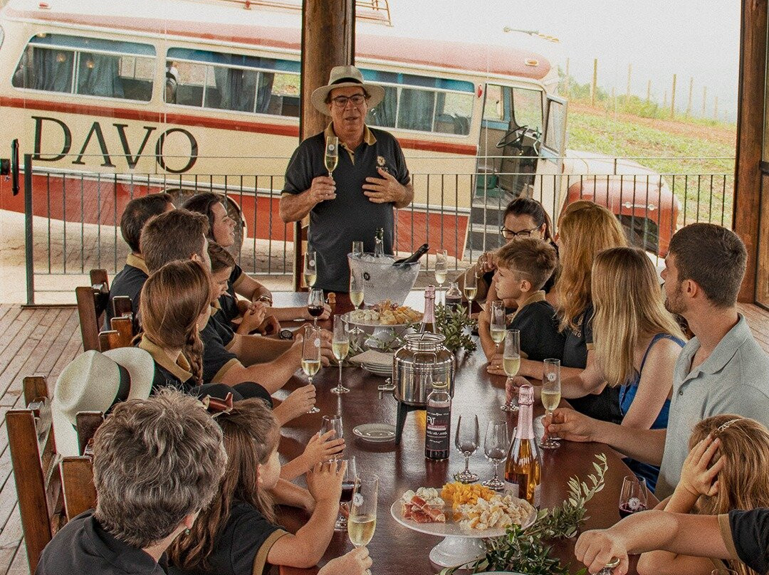 Hotel Vinícola Davo主图