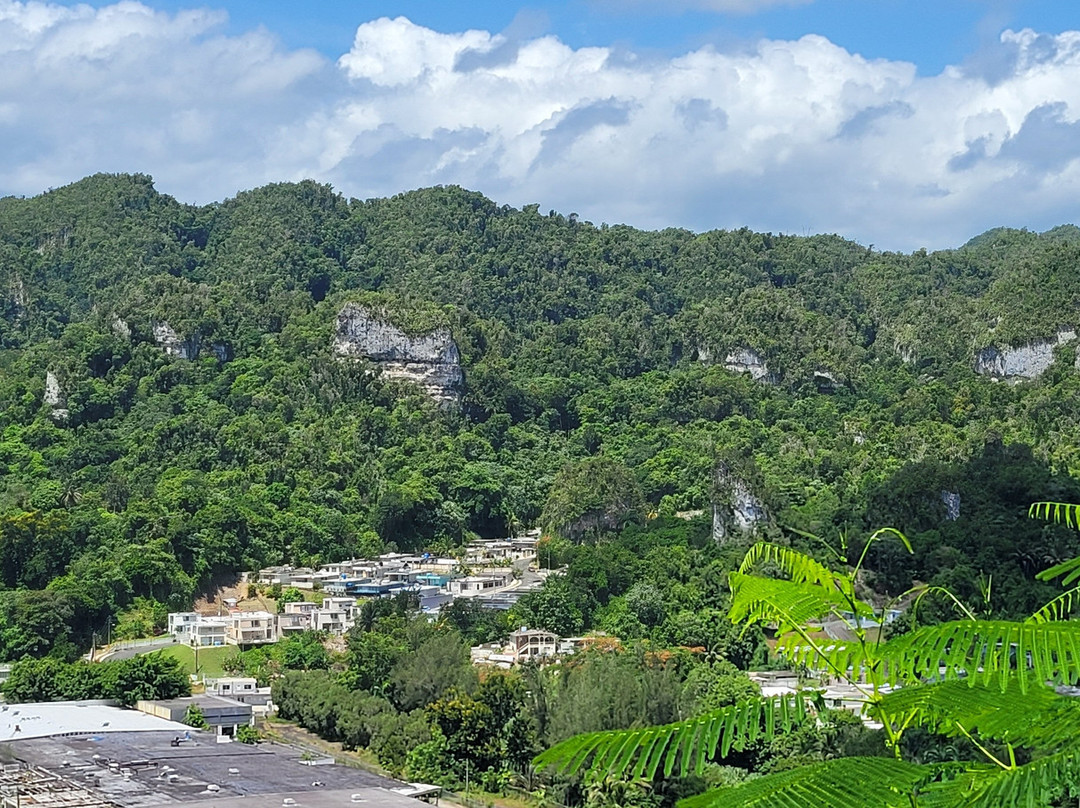 Juan Antonio Corretjer Park-Ciales必去景点