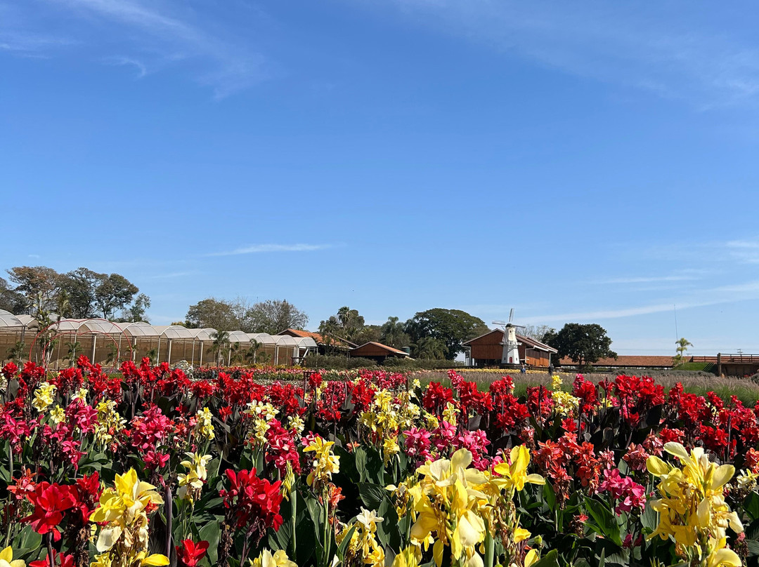 Theos Passeio Turistico-Holambra必去景点