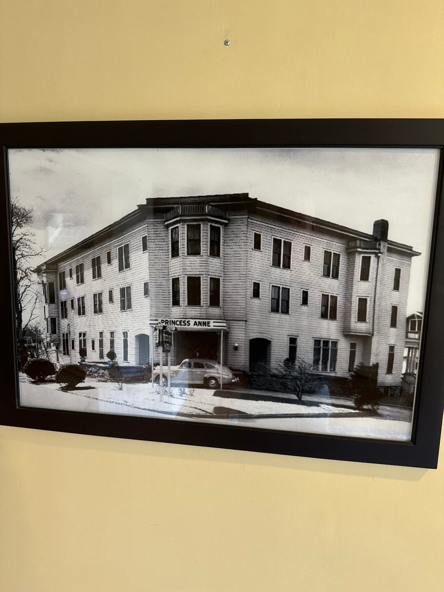 Princess Anne Hotel-官方