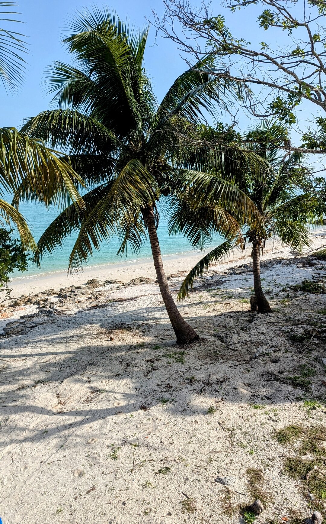 Hotel Tucan Siho Playa-官方