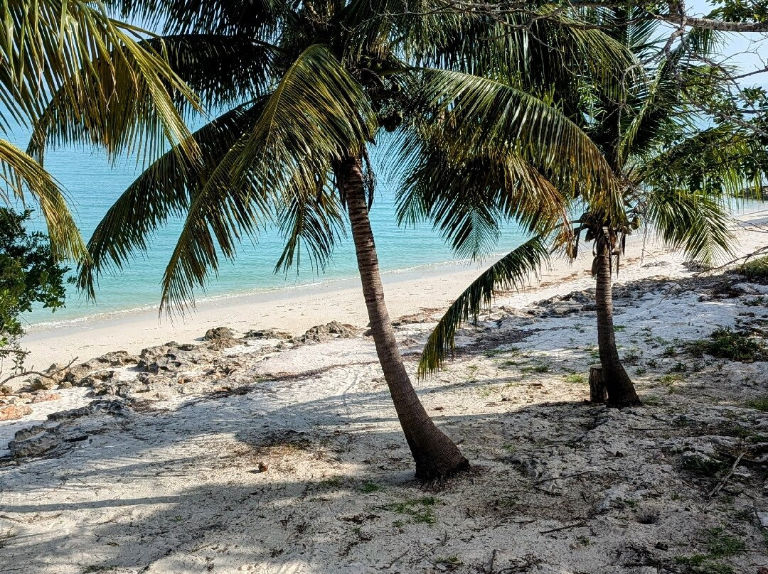 Hotel Tucan Siho Playa主图