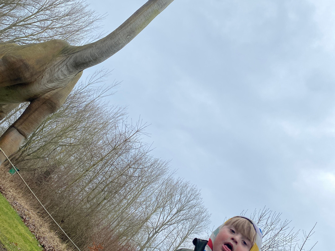 Dinosaurierland Rügen景点图片
