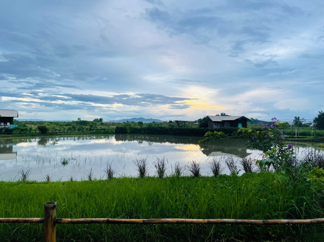 Rai Ruen Rom Organic Farm-清莱必去景点