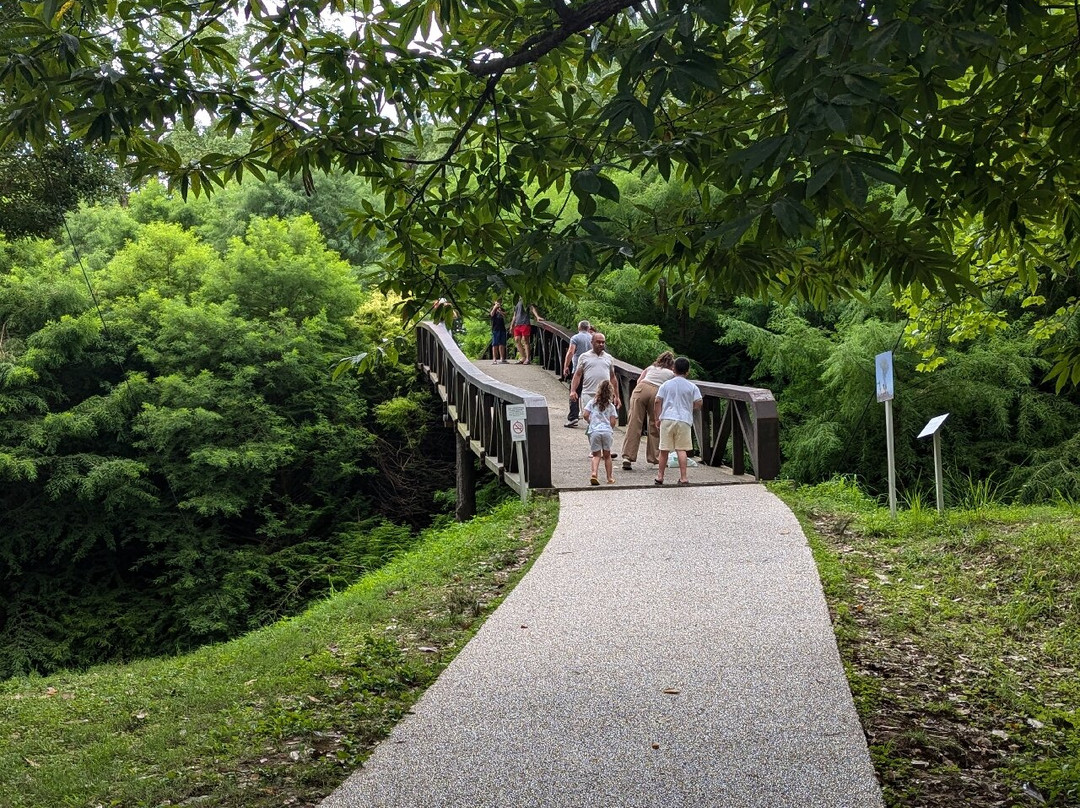 Shekvetili Dendrological Park-Shekhvetili必去景点