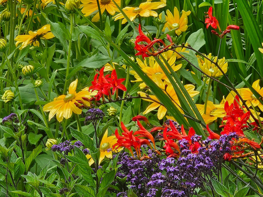 Abby Aldrich Rockefeller Garden景点图片