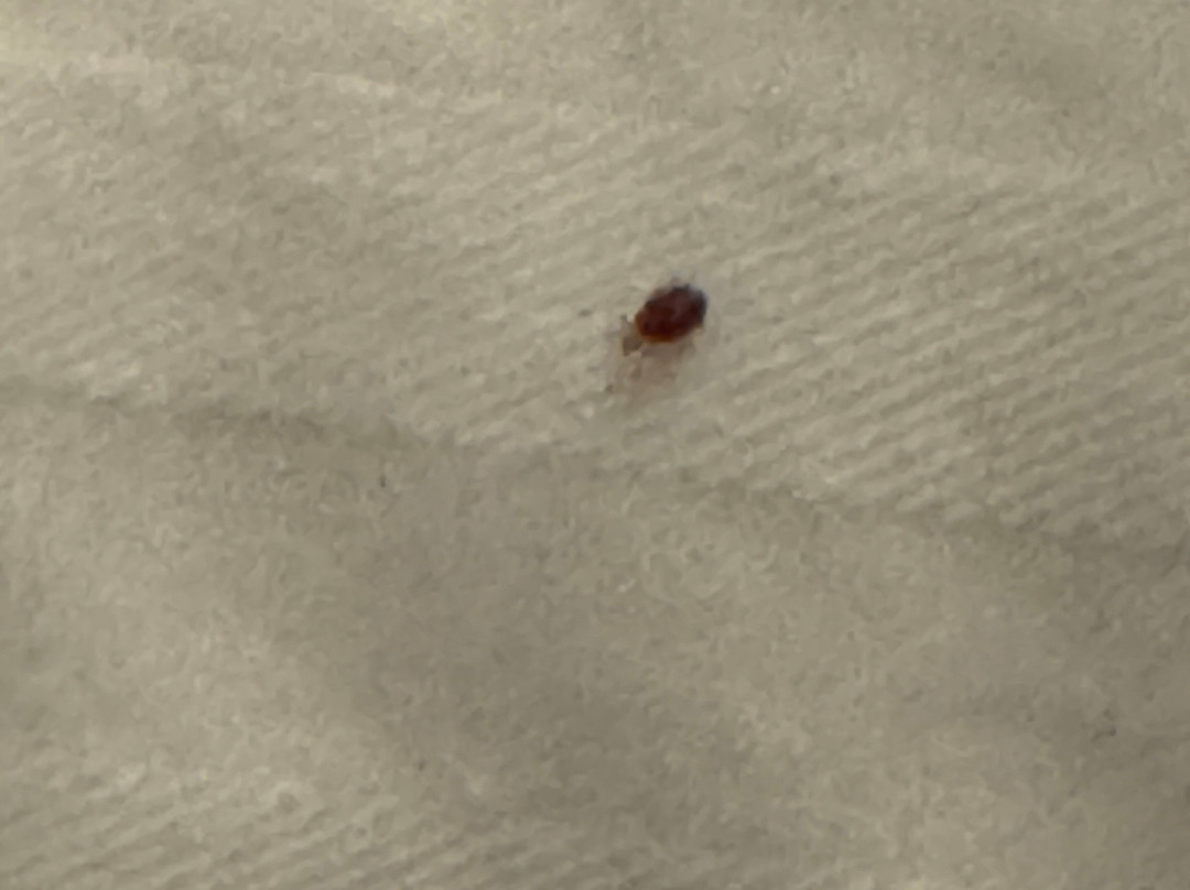 La Quinta Inn & Suites by Wyndham Wichita Northeast主图