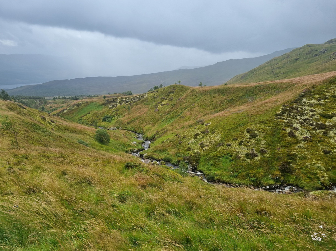Ben Lawers National Nature Reserve-Killin必去景点
