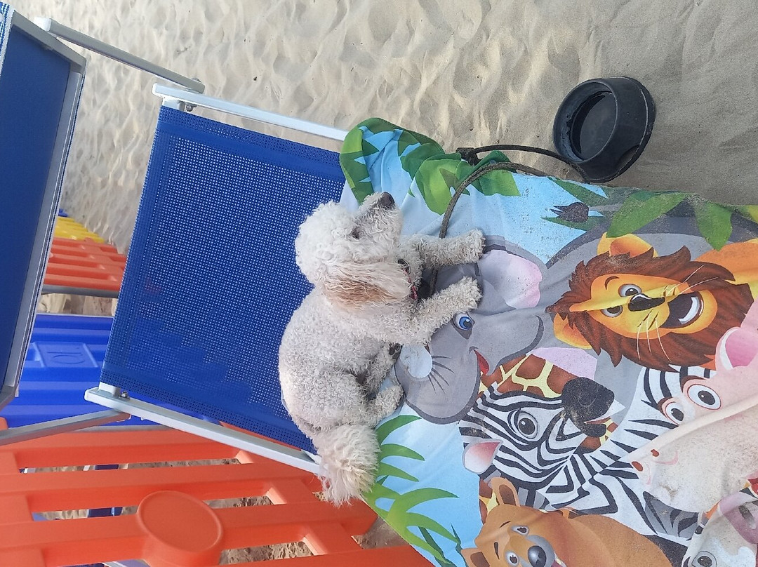 Marano Beach 135-136景点图片