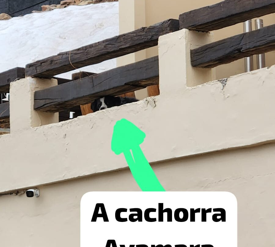 Chalet Valluga主图