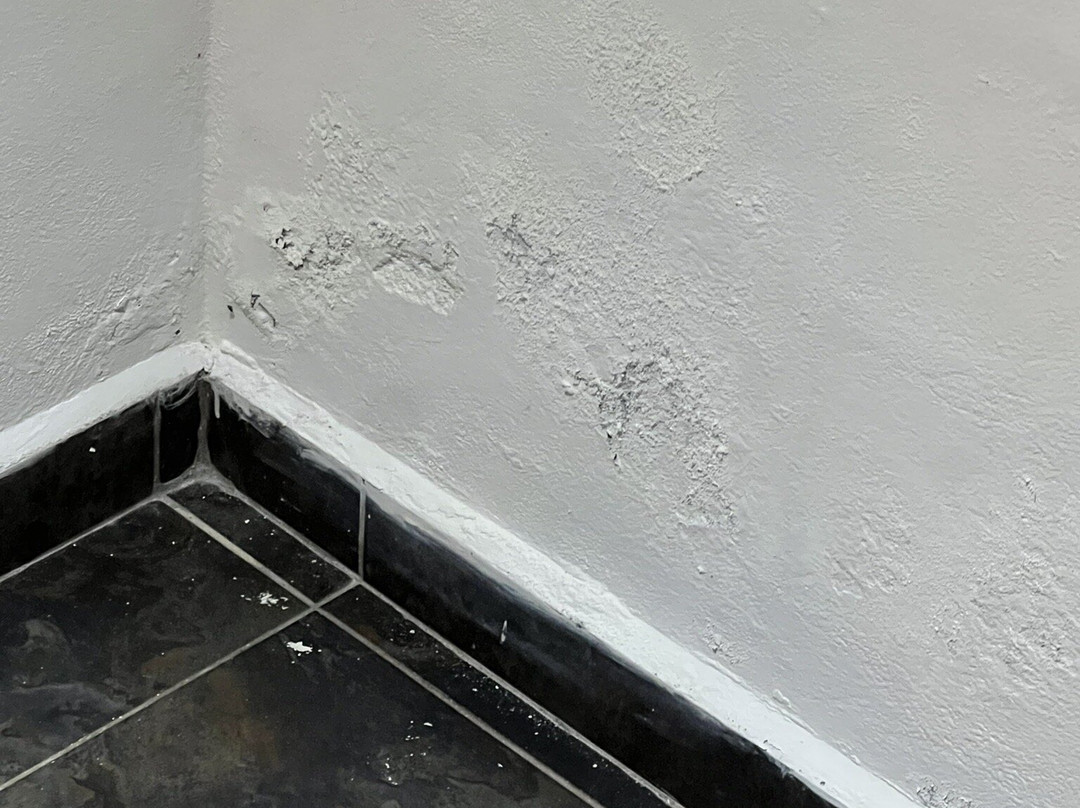 Ecovergel Hotel Boutique & Spa主图