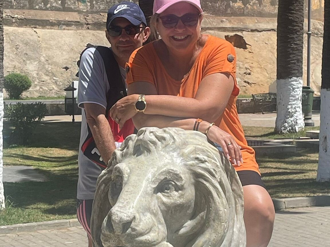 Jardin des Lions景点图片