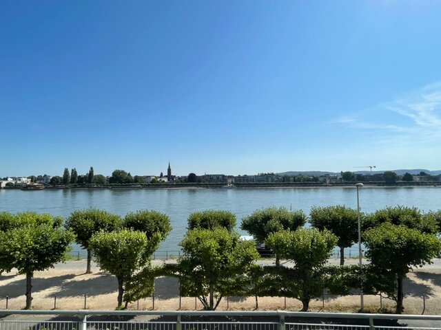 AMERON Bonn Hotel Königshof-酒店景观