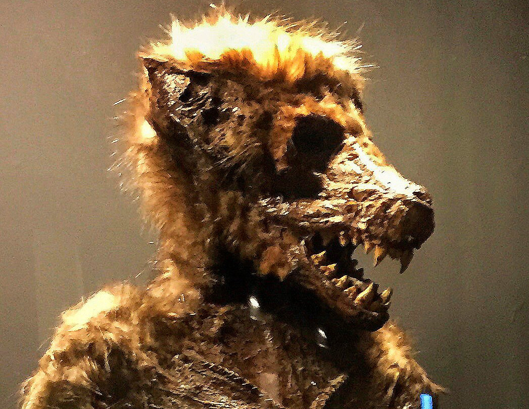 Museum Obscurum景点图片