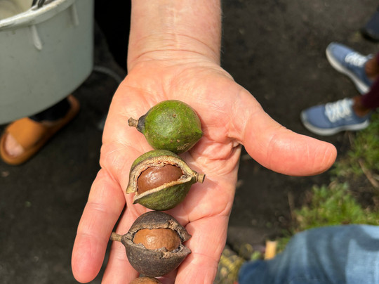 Kuaiwi Farm-库克船长必去景点