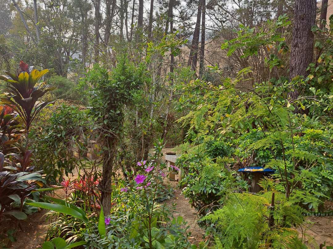 Hotel Fazenda Sao Sebastiao主图