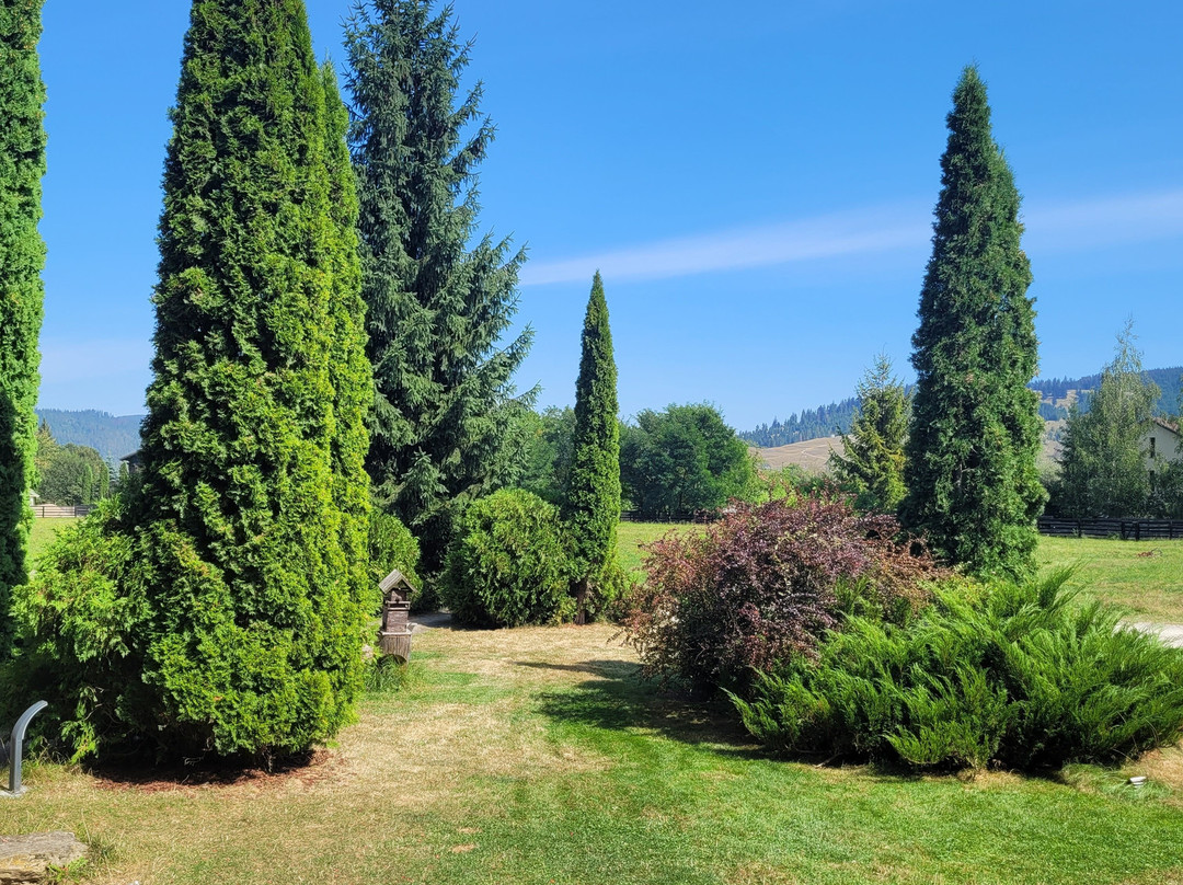 Inima Bucovinei主图