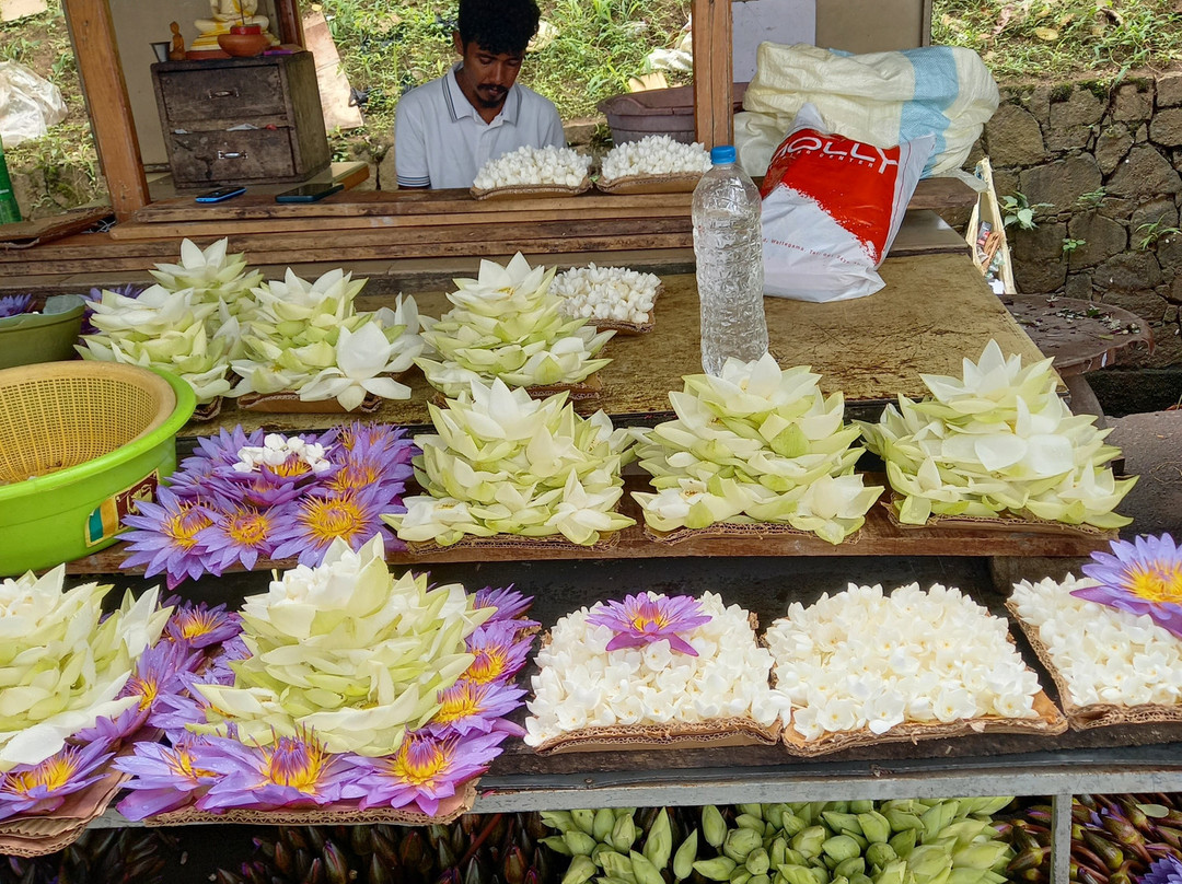 Raj Lanka Tours Nouraj景点图片