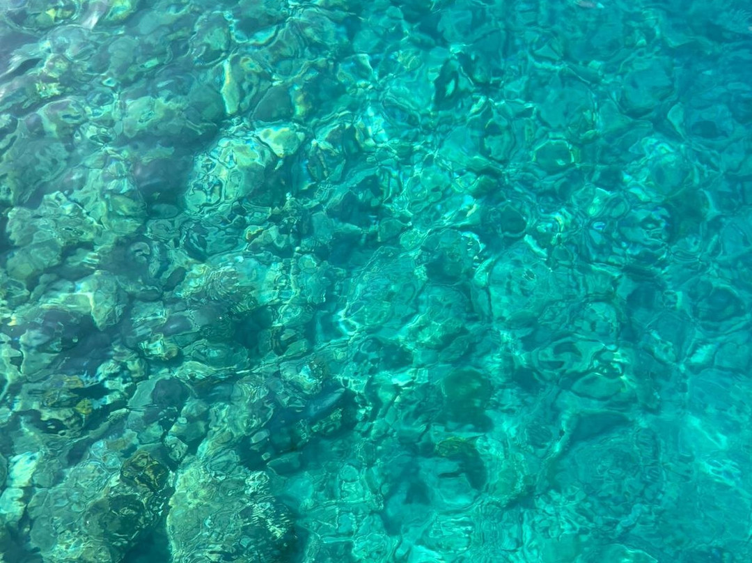 Merlo Boats-拉巴克必去景点