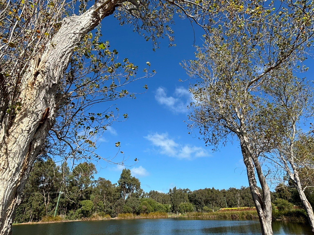 Lenton Brae Winery景点图片