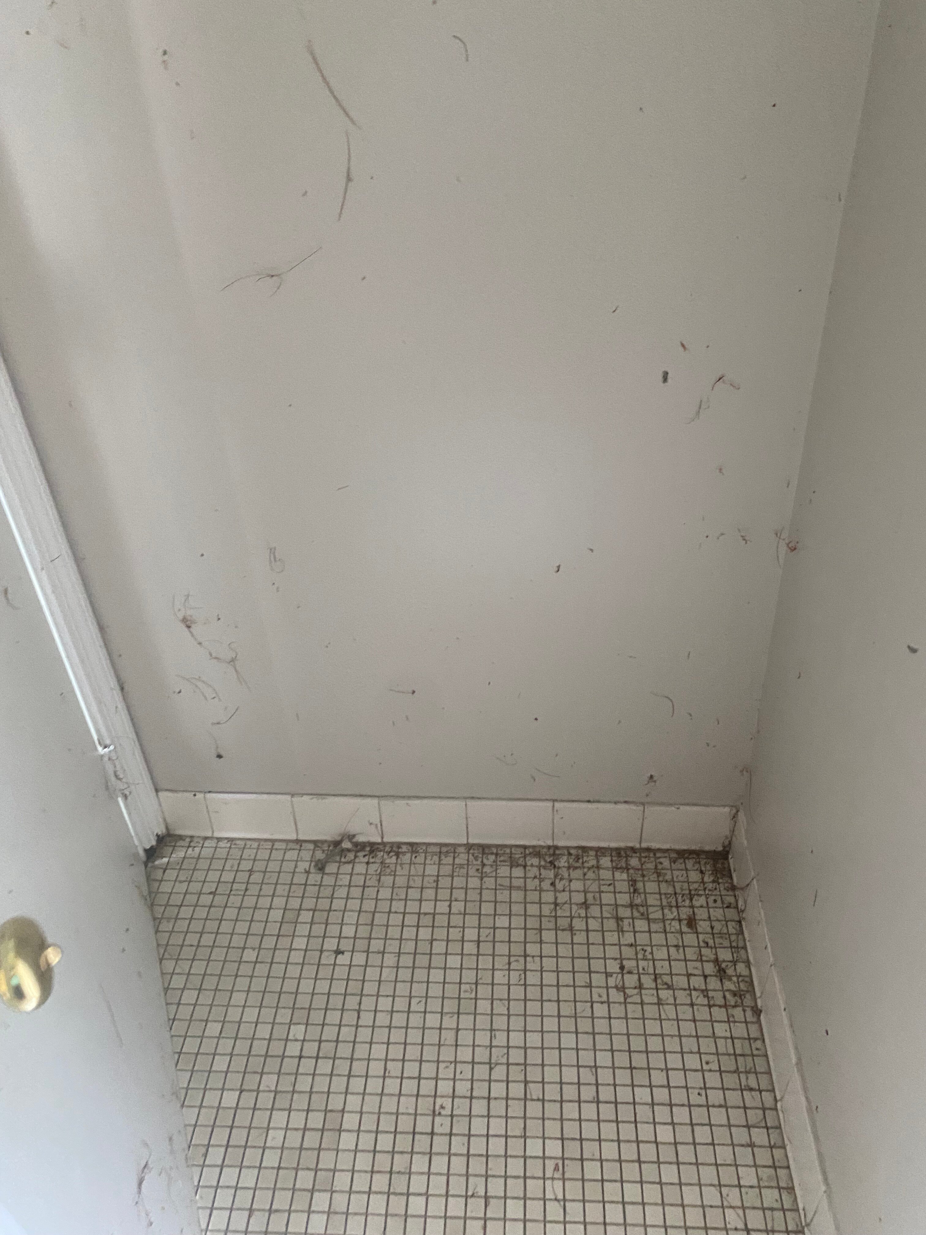 Avon Old Farms Hotel-泳池