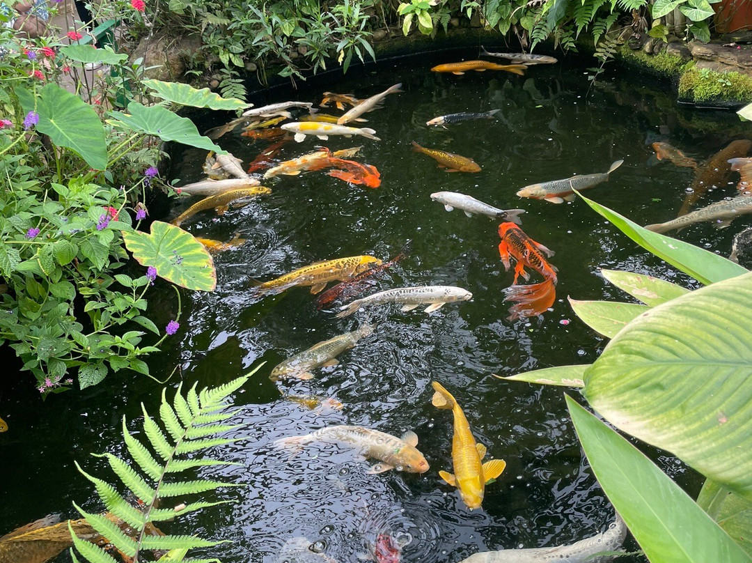 Butterfly World-斯托克顿提斯必去景点