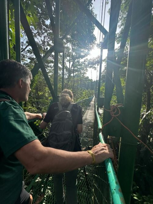 Tirimbina Rainforest Lodge主图