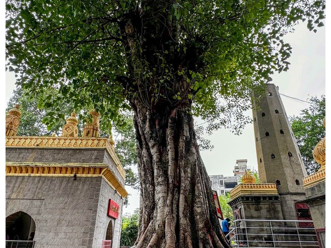 Shree Someshwar temple Mandir-浦那必去景点