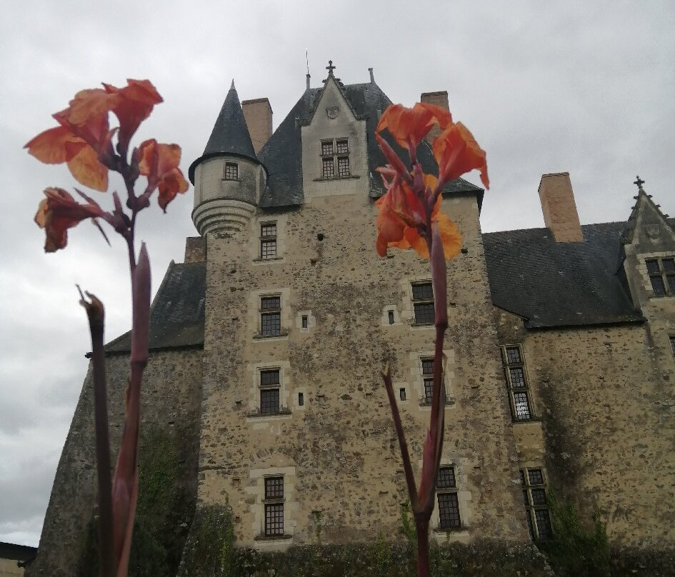 Château de Baugé景点图片